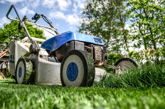 Garden Cleaning